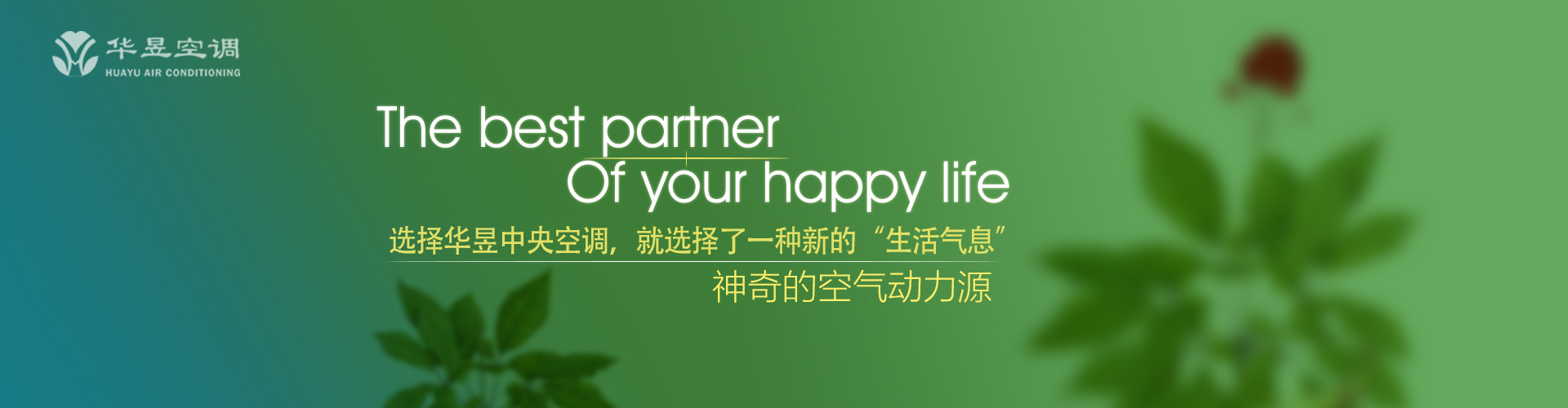 como cancelar aconta no sporting bet